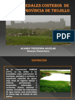 HUMEDALES Costero Trujillo 02 02 09 MPT PDF