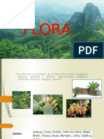 Expo Flora