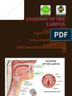 anatomi laring