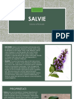 Salvie.pdf