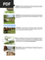 Download Mga Lahi Ng Kambing by squidblitz SN311578745 doc pdf