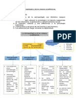 La Antropología y Otros Campos Académicos