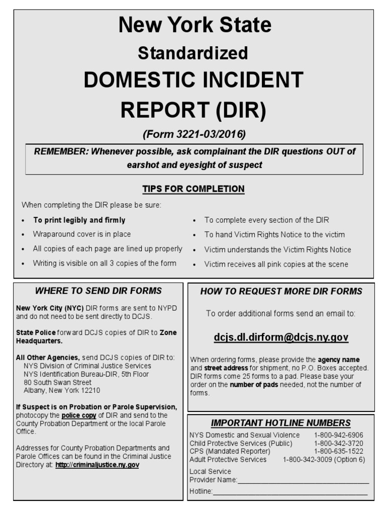 Redesigned New York State Domestic Incident Report Restraining Order