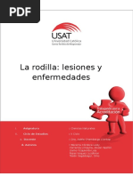 Trabajo de Naturales de Lesiones y Enfermedades