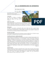 Aplicaciones de La Sedimentación en Diferentes Industrias