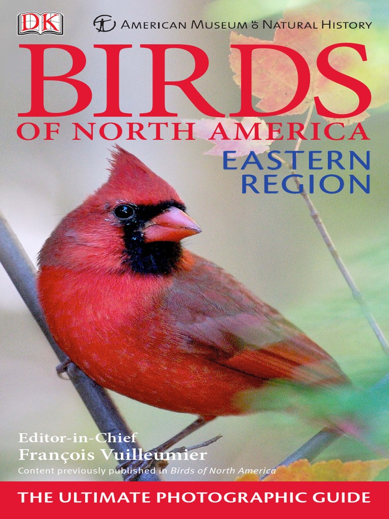 Birds of North America: Eastern Region | PDF | Bird Migration | Birds
