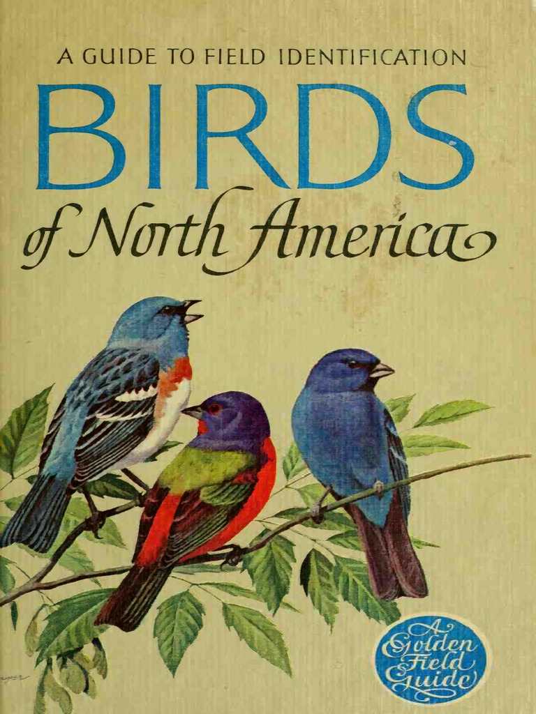 a Guide to Field Identification Birds of North America Birds Paravians