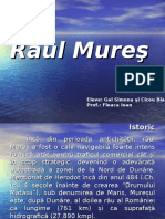 93458840-Raul-Mures.ppt