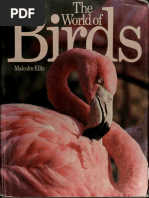 Download The World Of Birds by Momzy Moo SN311639801 doc pdf