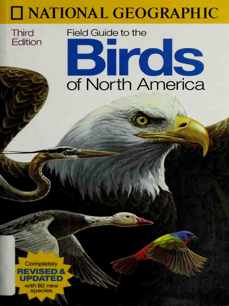 National Geographic Field Guide To The Birds Of North America, 3rd