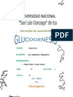 Gluco Genesis