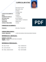 Curriculum Vitae Segundo Sanchez