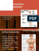 Sistem Endokrin