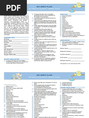 your birth plan