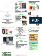 leaflet-ggk-ckd.doc