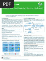 Biofuels and Food Security: Hope or Hindrance?: Authors Lindsay Shutes, Marijke Kuiper, Edward Smeets & Martine Rutten