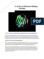 An Overview of the Sex Hormone Binding Globulin