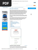 Muscular Contraction,Mechanism of Muscle Contraction _ Tutorvista