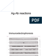 Ag Ab Reactions