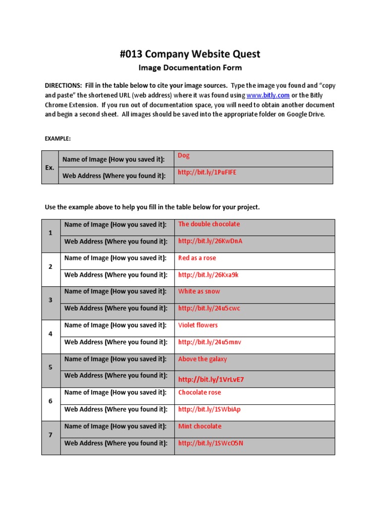 #013 Company Website Quest: Image Documentation Form | PDF | Web ...