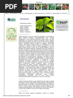 Catálogo de Palmeiras CEAP Design