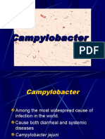 Campylobacter, Pseudo, Legionella, Haemophilus, Bordetella