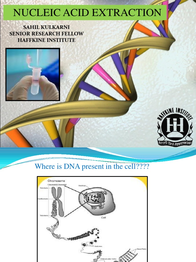 Nucleic Acid Extraction Denaturation (Biochemistry) Dna