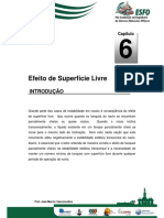 Apostila_-_Estabilidade_2006_Cap06.pdf