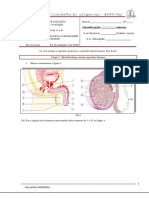 1_teste_vf1 (1).pdf