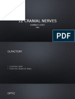 Cranial Nerves