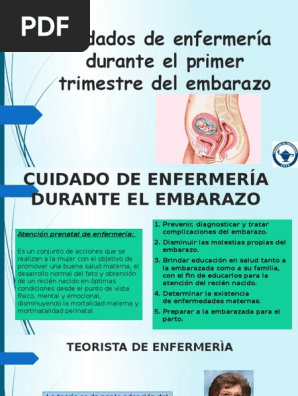 Cuidados De Enfermeria En El 1er Trimestre De Embarazo