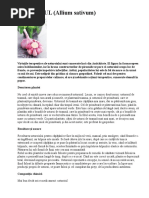 242814393-USTUROIUL