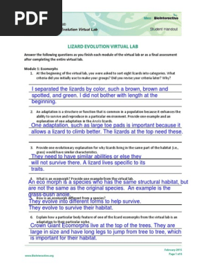 Lizard Evolution Virtual Lab Student Worksheet 1 Evolution Adaptation