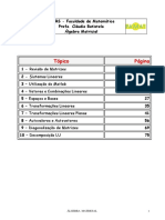 Apanhado de Álgebra Matricial - PUCRS