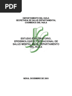 HUILA_SM.pdf