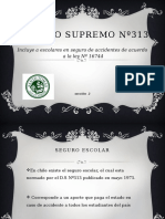 Decreto Supremo N°313