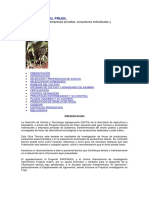 el-cultivo-del-frijol.pdf