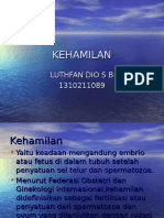 KEHAMILAN