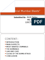 1993 Serial Mumbai Blasts