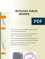 Morfologi Virus Mumps