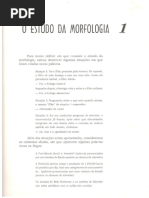 O estudo da Morfologia.pdf