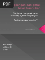 Rangsangan Dan Gerak Balas Tumbuhan