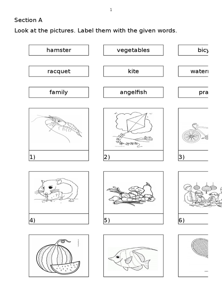 Soalan Bahasa Inggeris Tahun 3 Peperiksaan Pertengahan Tahun Pdf Frog Nature