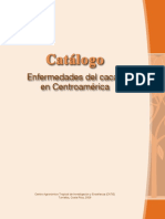 19 Enfermedades Del Cacao PDF