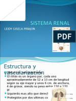 Fisiologia Del Sistema Renal Humano, Una Visión Fisiológica