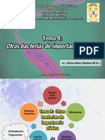 TEMA 9 Continuación Helicobacter Treponema Mycoplasma y Chlamydia