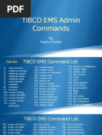 Ems Commands