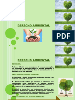 Derecho Ambiental