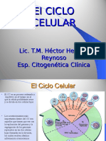 Citogenetica 3 W