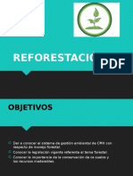tema n°4 reforestación